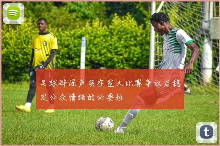 足球辟谣声明在重大比赛争议后稳定公众情绪的必要性