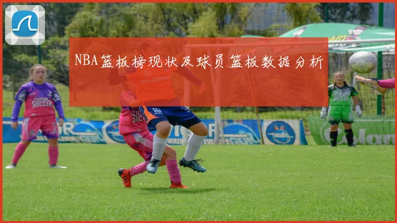 NBA篮板榜现状及球员篮板数据分析